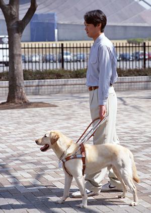 つくば市で歯医者を探している方に
